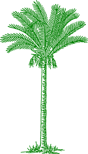 Palm Tree clip art - vector clip art online, royalty free & public ...