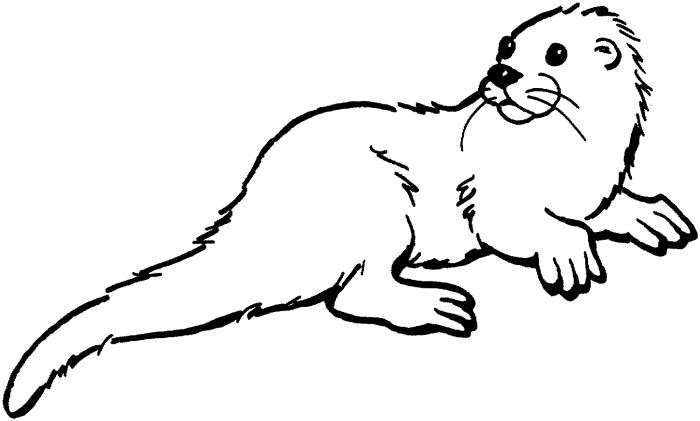 Sea Otter Clipart - ClipArt Best