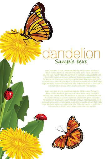 Dandelion Vector Illustration Clip Art, Vector Images ...
