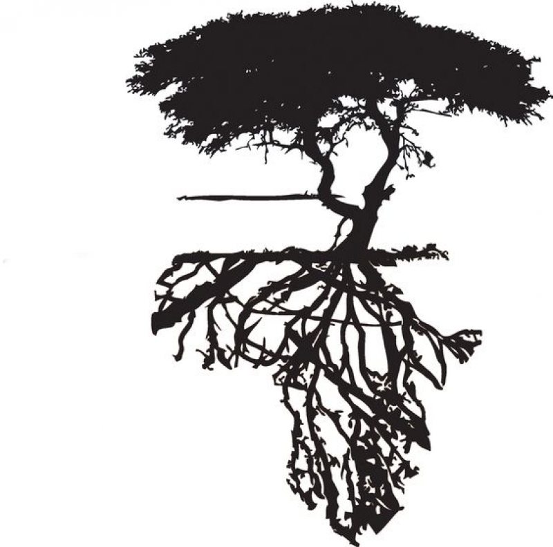 African Tree Tattoo Africa Outline Made Tree Roots. If I Ever Get ...