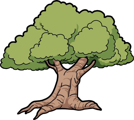 Vector graphics, Oak tree and Graphics