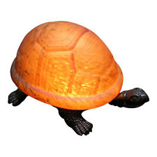 Making A Turtle Shell Lamp - ClipArt Best