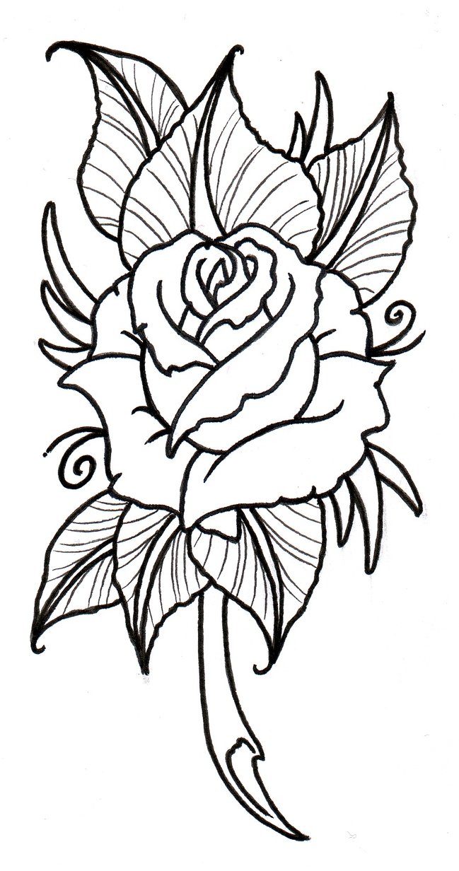 Pink Large Rose and Rose Bud PNG Clipart