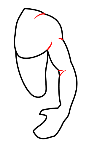 shape to make your character muscular. Under the arm, draw a little rectangle to represent the junction between the arm and the forearm. The elbow will be located below this new shape.