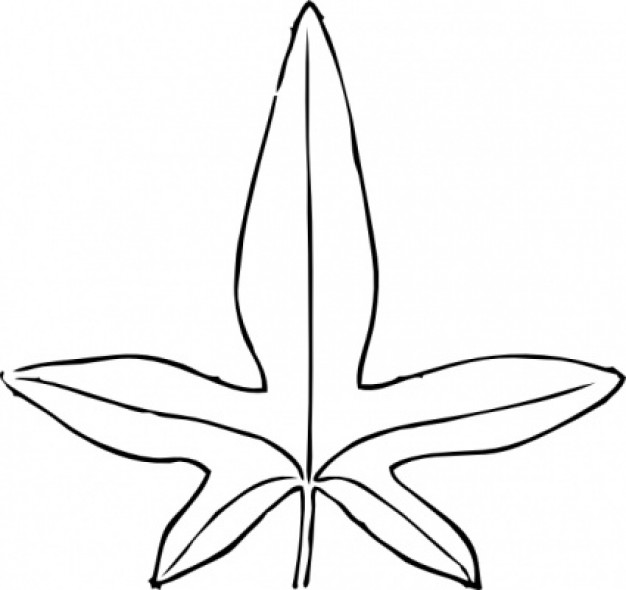 Leaf sketch clip art | Download free Vector