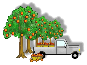 Orange Orchard Clip Art - Silver Trucks in Orange Orchard