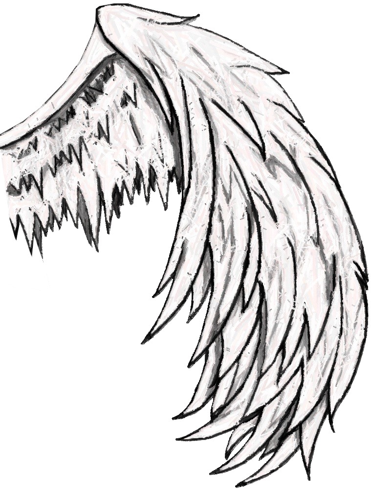 Angel Wing Drawing ClipArt Best