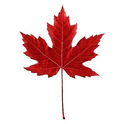 Red Maple Leaf Wallpaper Size After The Rain - ClipArt Best ...