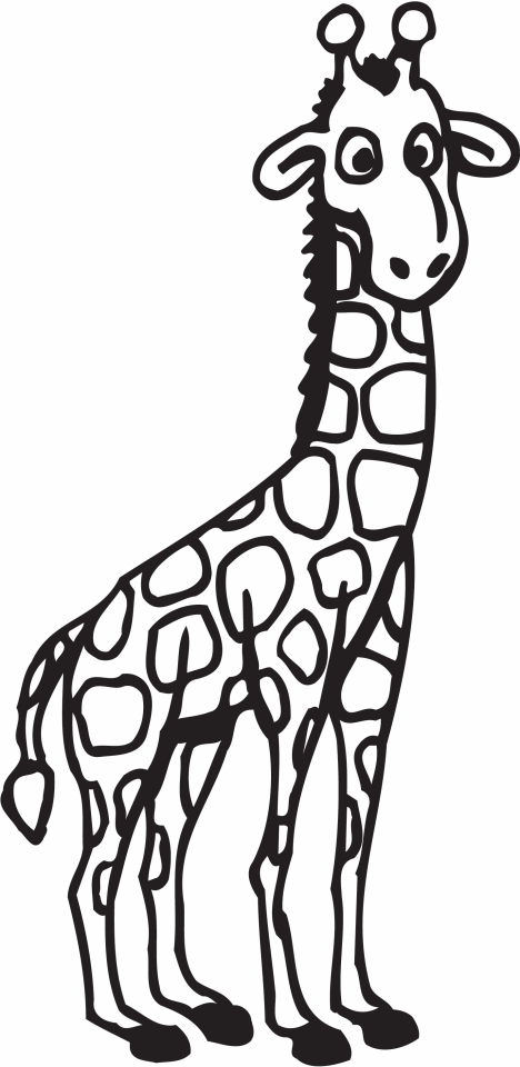 baby giraffe outline
