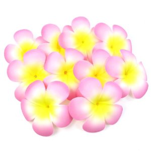 Amazon.com - Floating Plumeria (Frangipani) Foam Flower, 10-Pack ...