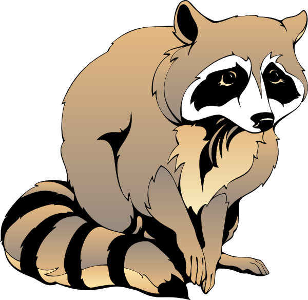 Free Raccoon Clip Art