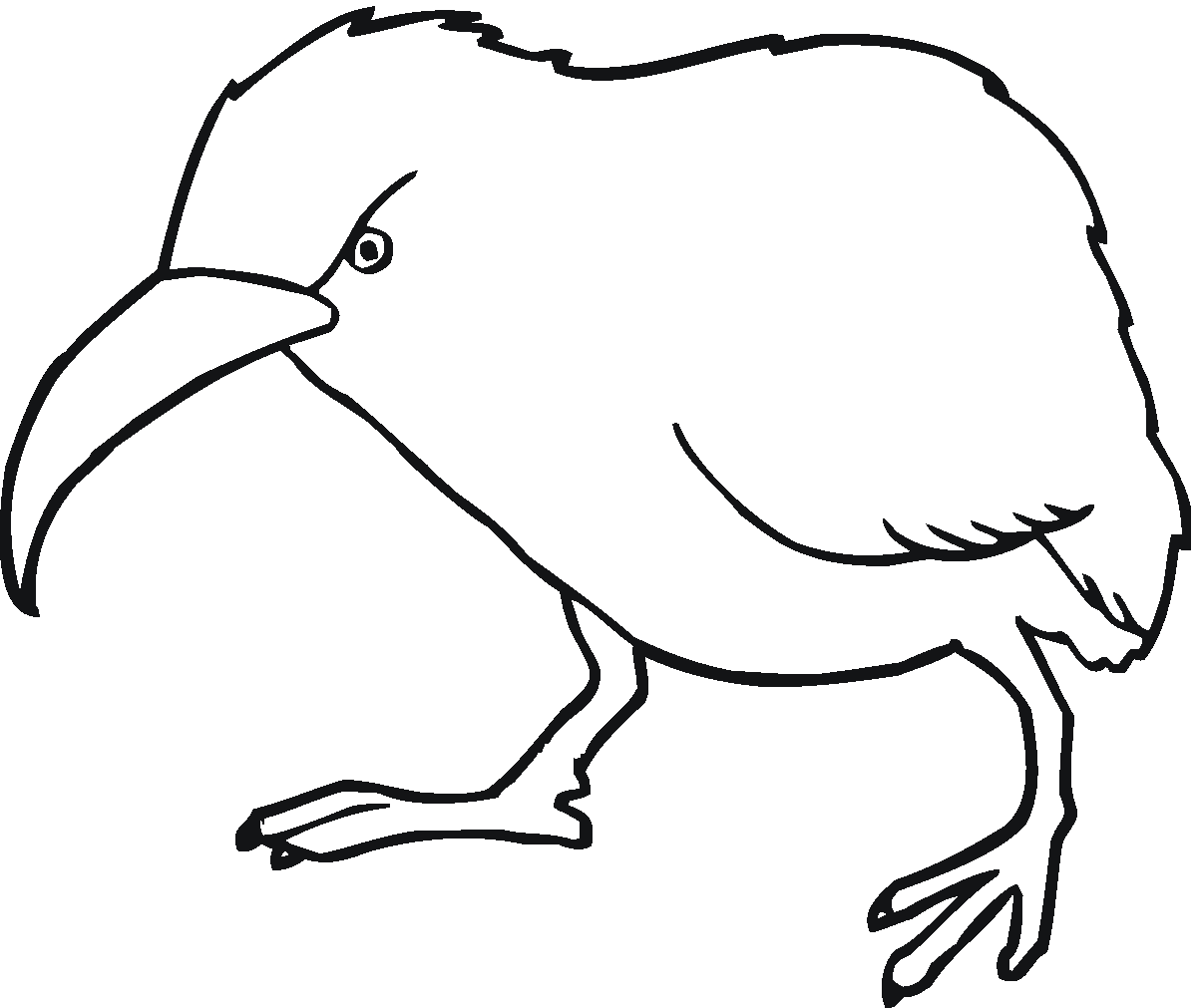 Kiwi Bird Drawing - ClipArt Best