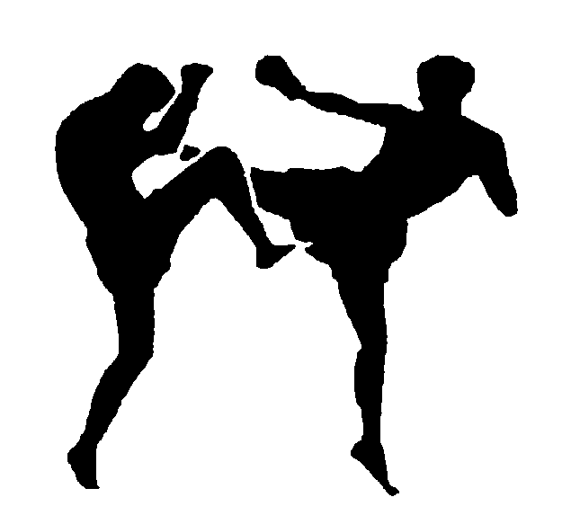 3468_kickboxing-image.gif