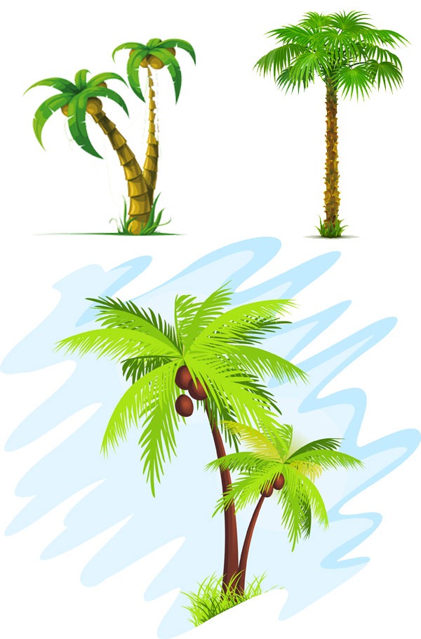 Summer coconut trees – vector material | My Free Photoshop World