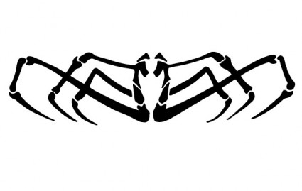 Vector Spider / Spider Free Vectors Download / 4Vector