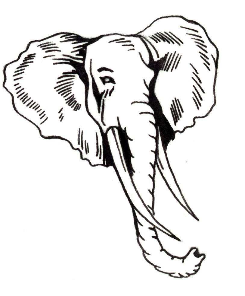 outline drawings elephant