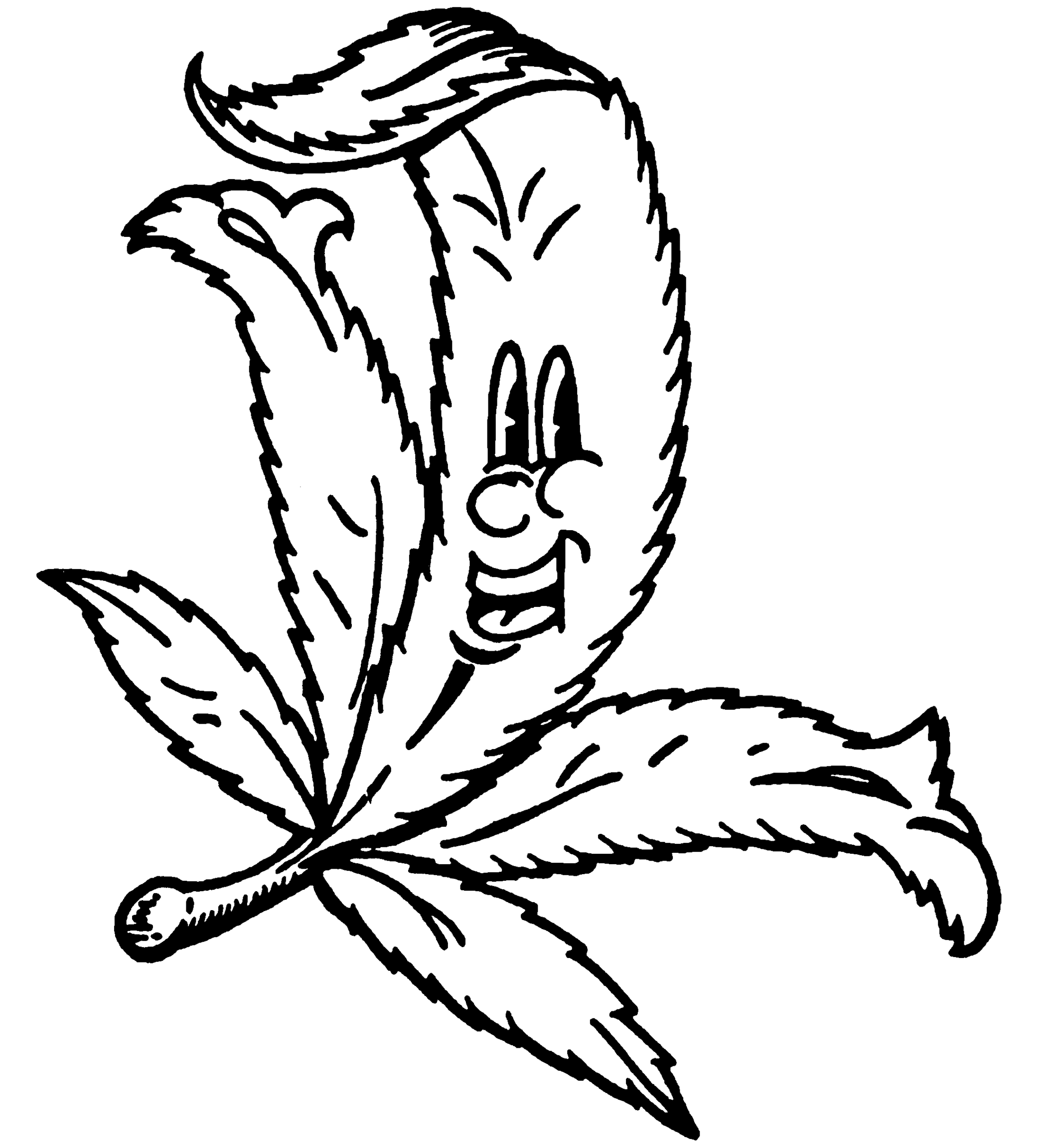 Weed Drawing Clipart - Free to use Clip Art Resource