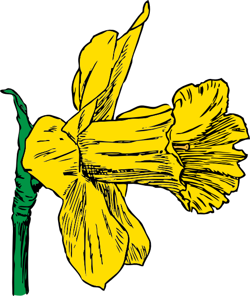 Daffodil Cartoon | Free Download Clip Art | Free Clip Art | on ...