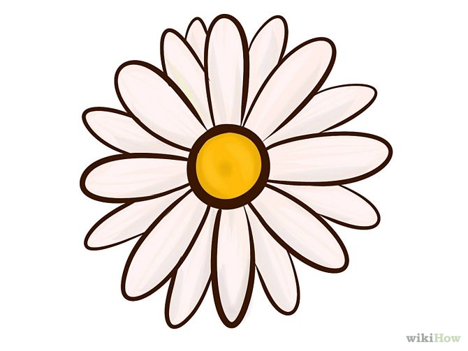 Drawn Flowers | Free Download Clip Art | Free Clip Art | on ...