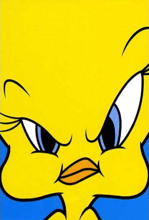 Angry Tweety face image #808 - Pictures Cafe