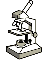 Compound Microscope Drawing - ClipArt Best