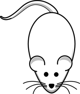 Clipart of a rat