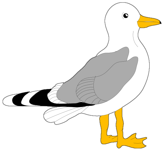 Seagull flying sea gull clip art at clker vector clip art 2 image ...