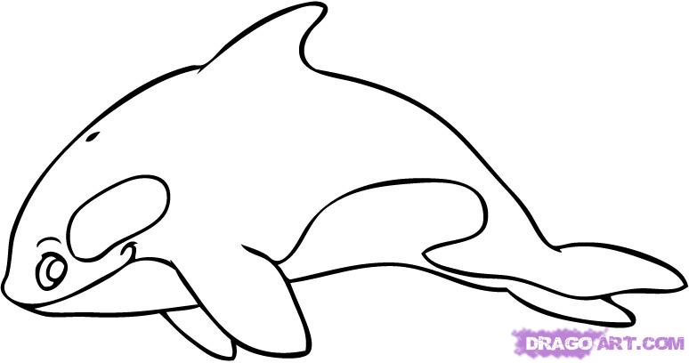 Best Photos of Whale Line Simple - Blue Whale Drawing, Killer ...