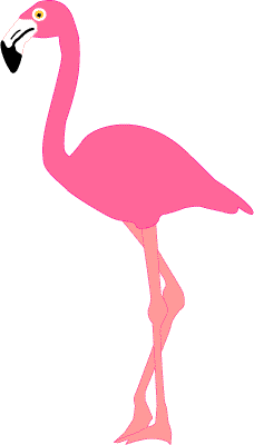 1000+ images about Flamingo party and decor | Flats ...