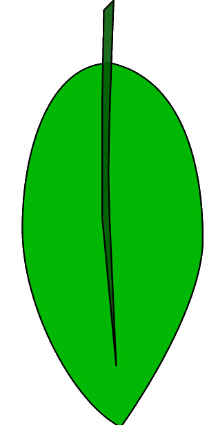 green leaf sketch clipart, 10 cm | Flickr - Photo Sharing!