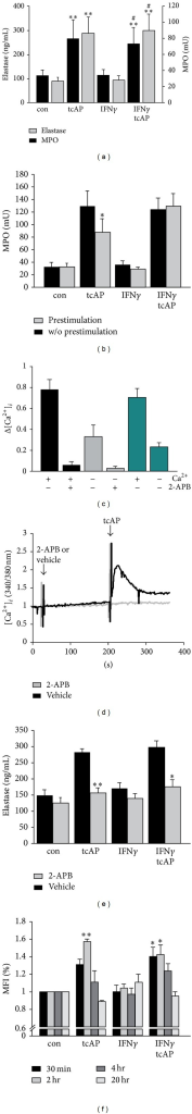 PAR2 stimulation induced neutrophil degranulation in a | Open-i