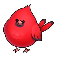 Cartoon cardinal clip art