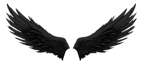 Black angel wings by Satoru Karagami | WHI