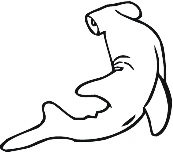 Shark Drawing Template Clipart - Free to use Clip Art Resource