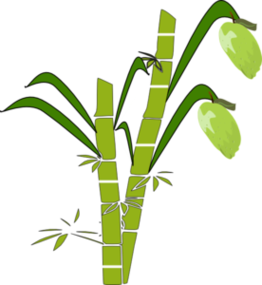 Sugarcane Clipart Clipart - Free to use Clip Art Resource