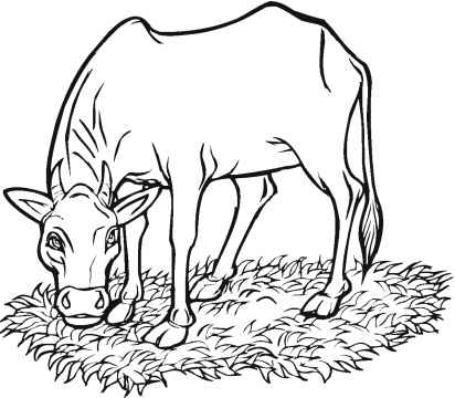 Cow with grass clipart