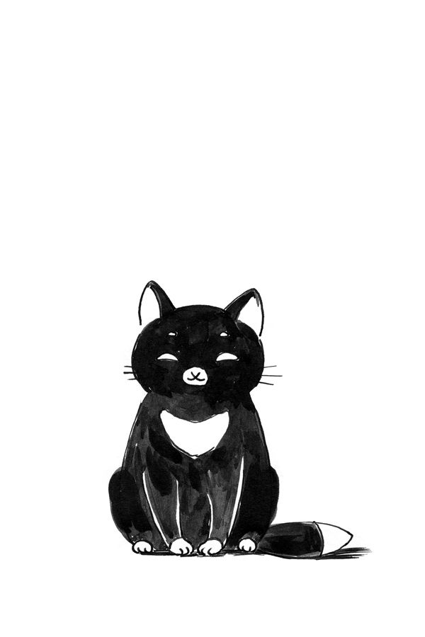 Black Cat Illustrations