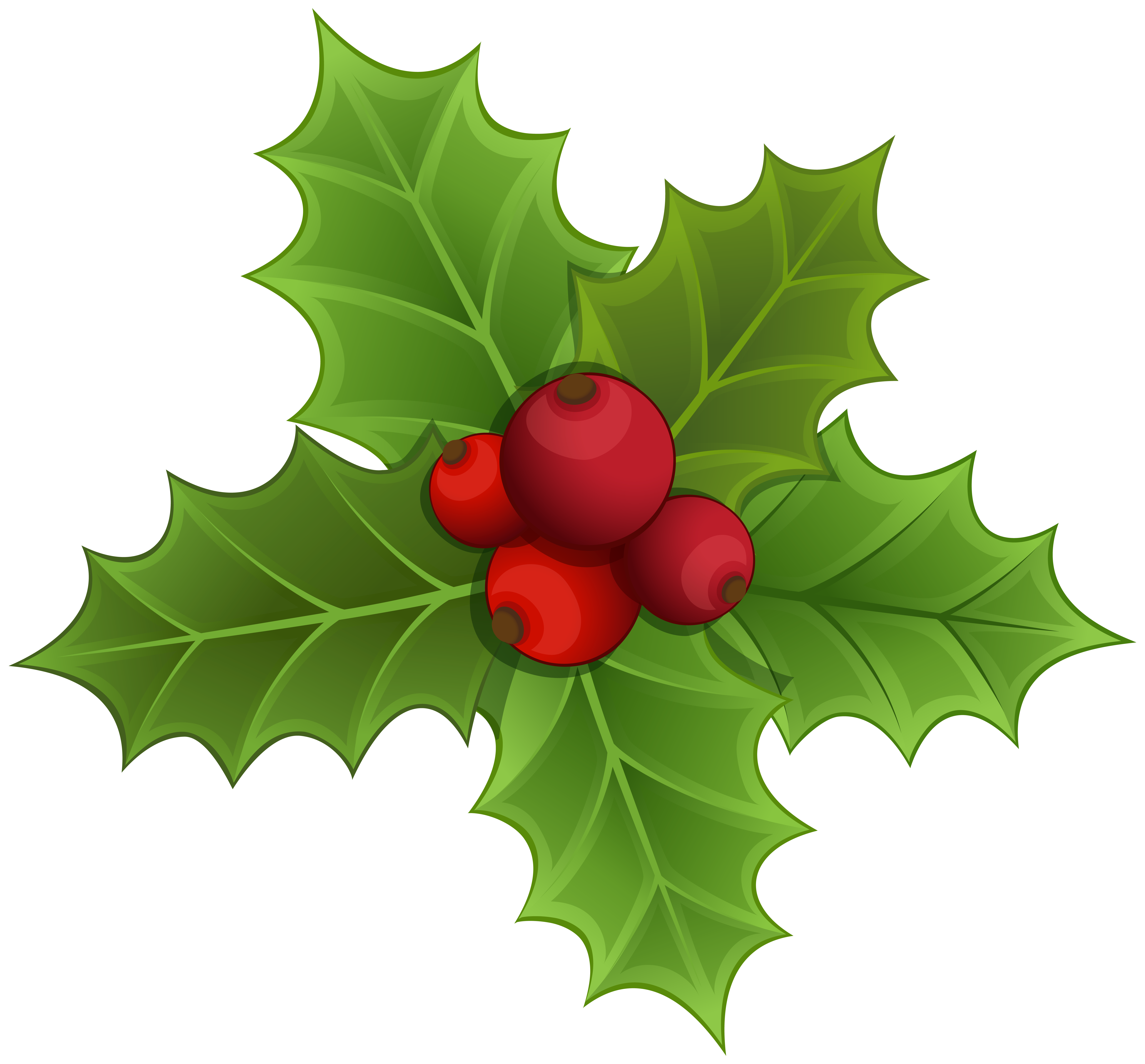 Mistletoe drawing