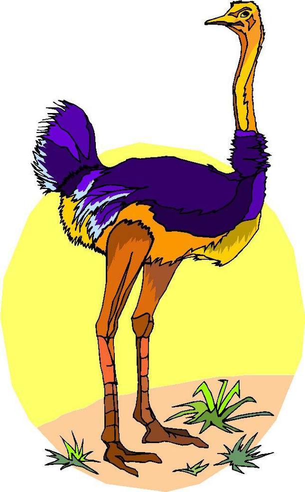 Ostrich Outline Clip Art Vector Online Royalty Free Clipart - Free ...