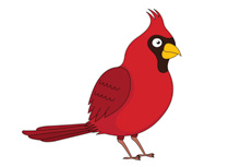 Winter Cardinal Bird Clipart