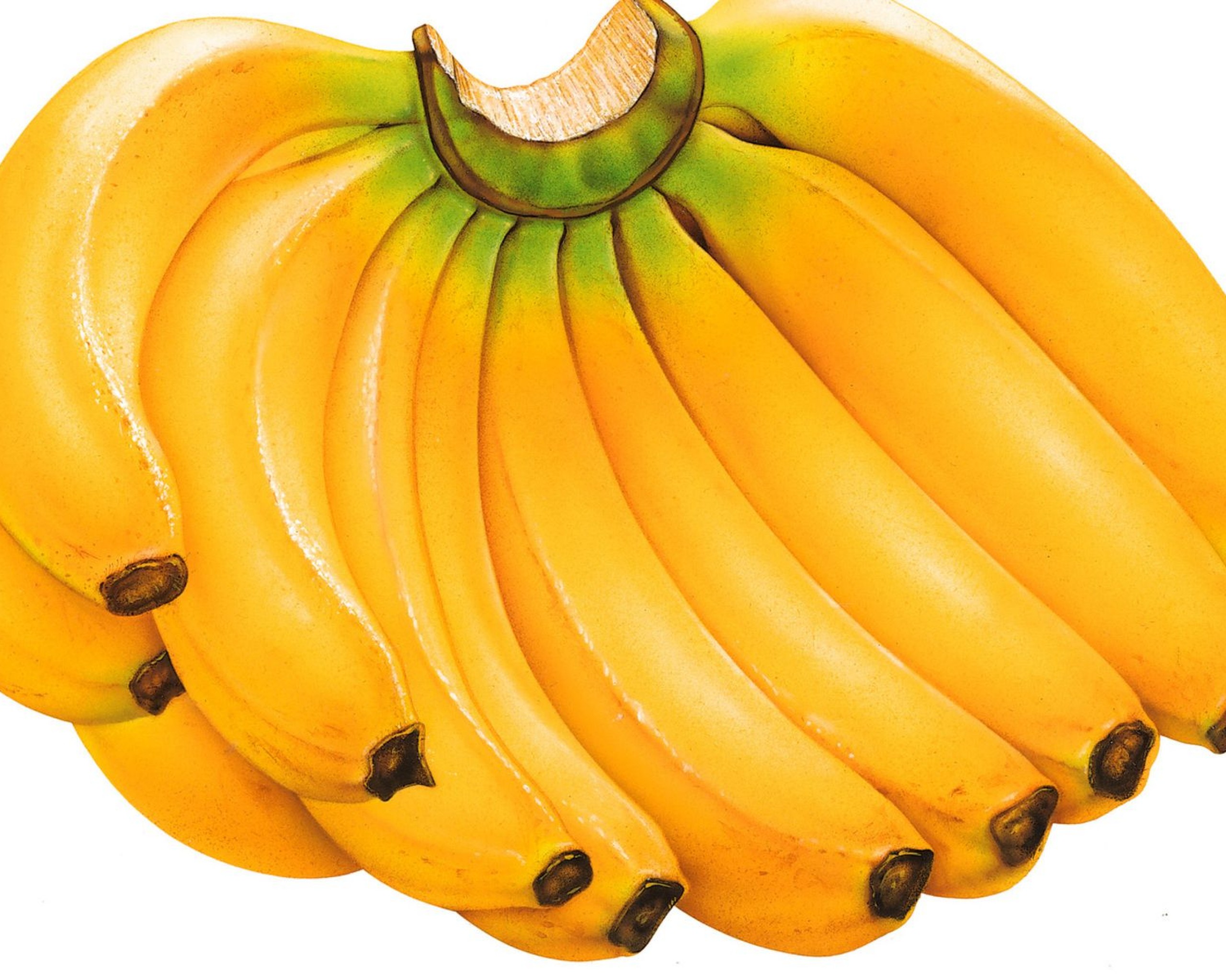 fruits, food, bananas - Wallpapersus.