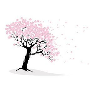 Royalty-free stock Illustration [Vector] | Cherry blossoms ...