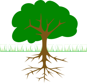 Tree Branches And Roots clip art Free Vector