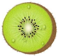 Kiwi Free vector in Adobe Illustrator ai ( .ai ) vector ...