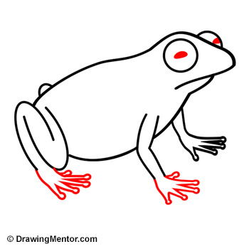 How to Draw a Frog Tutorial