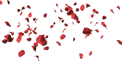 Rose Petals PNG HD | PNG Mart