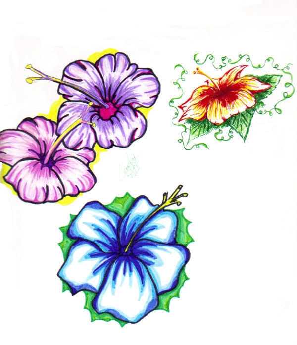 Hibiscus Tattoo Art - ClipArt Best