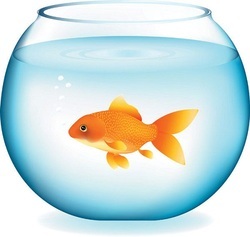 Glass Fish Bowl Manufacturers, Suppliers & Exporters