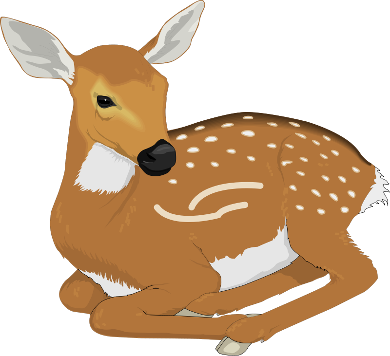 Deer 6 Free Vector