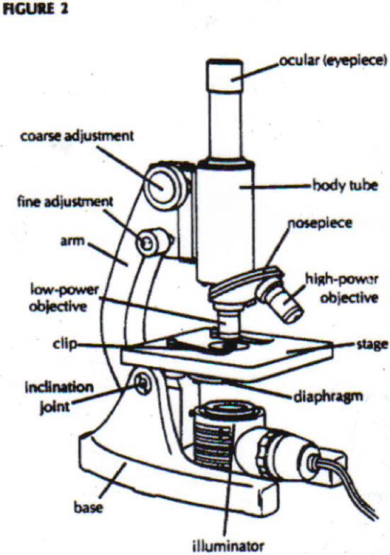 Parts Of The Microscope Diagram